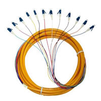 12 Fiber LC Fiber Optic Pigtail Singlemode